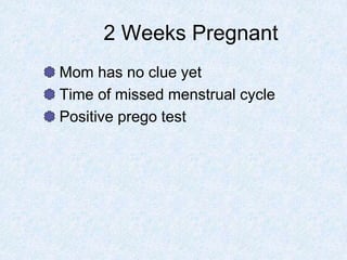 2 Weeks Pregnant
Mom has no clue yet
Time of missed menstrual cycle
Positive prego test
 