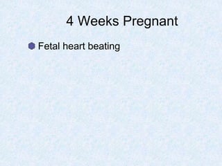 4 Weeks Pregnant
Fetal heart beating
 