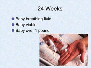 24 Weeks
Baby breathing fluid
Baby viable
Baby over 1 pound
 