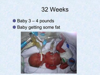 32 Weeks
Baby 3 – 4 pounds
Baby getting some fat
 