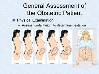 General Assessment of
the Obstetric Patient
Physical Examination
– Assess fundal height to determine gestation
 