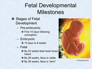 Fetal Developmental
Milestones
Stages of Fetal
Development
– Pre-embryonic
First 14 days following
conception
– Embryonic
15 days to 8 weeks
– Fetal
By 20 weeks fetal heart tones
heard
By 28 weeks, fetus is viable
By 38 weeks, fetus is “term”
© Phototake NYC
 