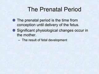 The Prenatal Period
The prenatal period is the time from
conception until delivery of the fetus.
Significant physiological changes occur in
the mother.
– The result of fetal development
 