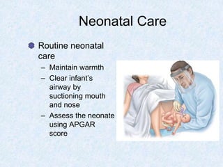 Neonatal Care
Routine neonatal
care
– Maintain warmth
– Clear infant’s
airway by
suctioning mouth
and nose
– Assess the neonate
using APGAR
score
 
