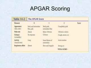 APGAR Scoring
 