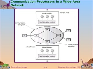 Communication Processors in a Wide-Area Network 