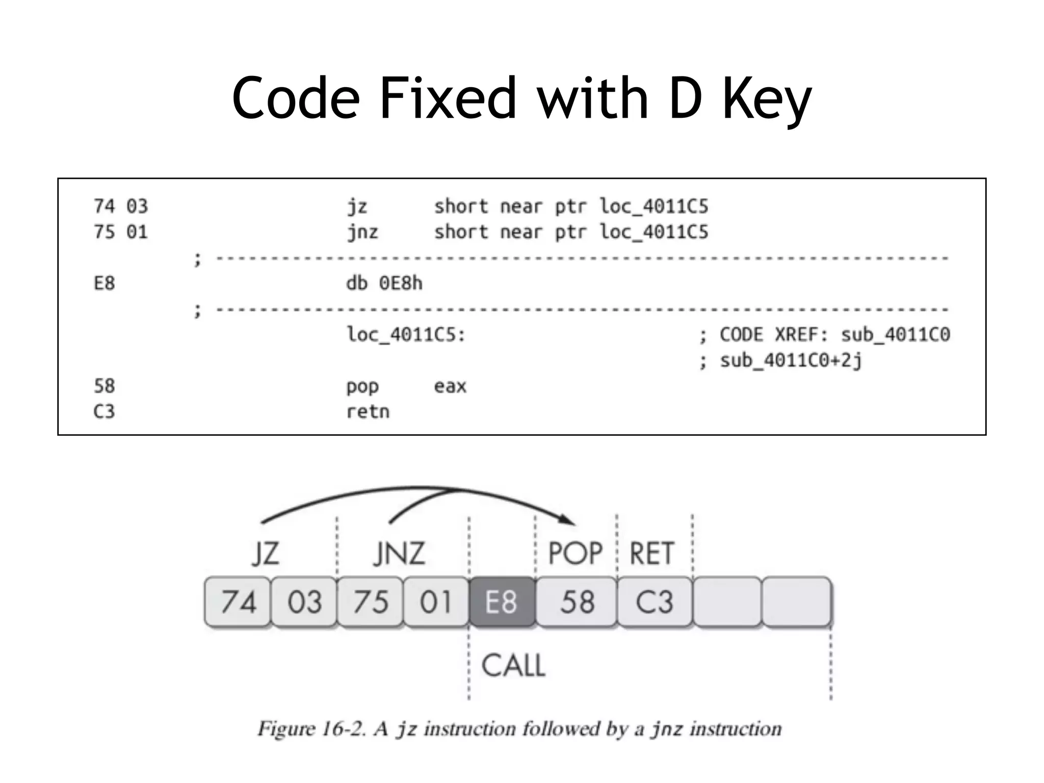 Code Fixed with D Key
 