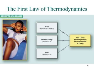 4
The First Law of Thermodynamics
 