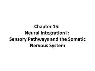 Chapter 15:
Neural Integration I:
Sensory Pathways and the Somatic
Nervous System
 
