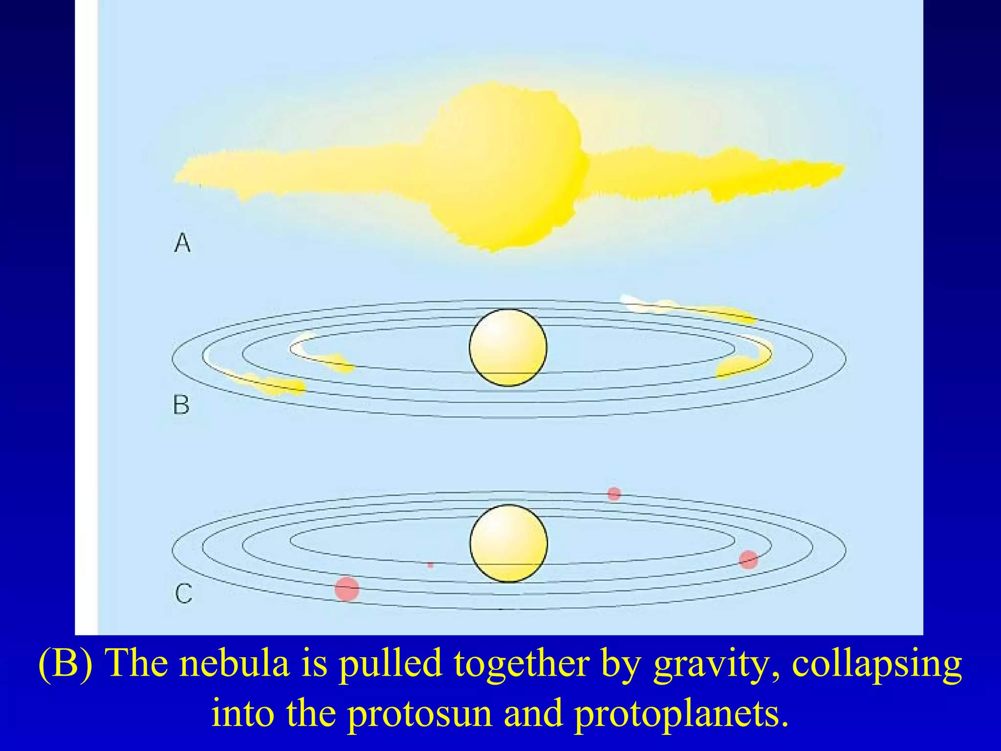 (B) The nebula is pulled together by gravity, collapsing
into the protosun and protoplanets.
 