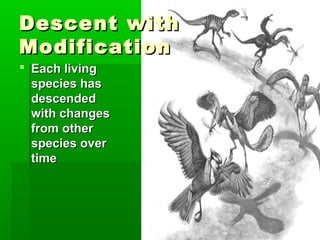 Descent with
Modification
 Each living
species has
descended
with changes
from other
species over
time

 
