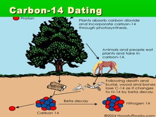 Carbon-14 Dating

 