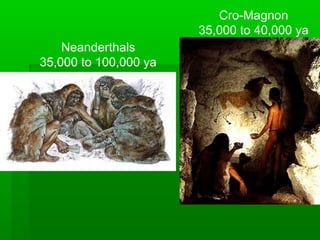 Cro-Magnon
35,000 to 40,000 ya
Neanderthals
35,000 to 100,000 ya

 