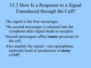 Ch15 Cell Signaling and Communication.ppt