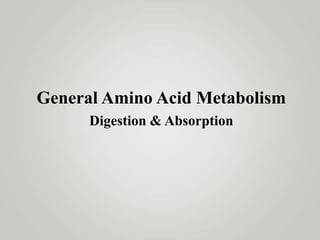 General Amino Acid Metabolism
Digestion & Absorption
 