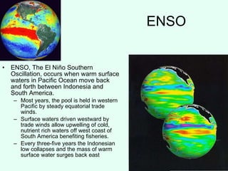 ENSO ENSO, The El Niño Southern Oscillation, occurs when warm surface waters in Pacific Ocean move back and forth between Indonesia and South America. Most years, the pool is held in western Pacific by steady equatorial trade winds. Surface waters driven westward by trade winds allow upwelling of cold, nutrient rich waters off west coast of South America benefiting fisheries. Every three-five years the Indonesian low collapses and the mass of warm surface water surges back east 