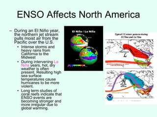 ENSO Affects North America During an El Niño year, the northern jet stream pulls moist air from the Pacific over the U.S. Intense storms and heavy rains from California to the Midwest During intervening  La Niña  years, hot, dry weather is often present. Resulting high sea surface temperatures cause hurricanes to be more violent. Long term studies of coral reefs indicate that ENSO events are becoming stronger and more irregular due to global warming. 