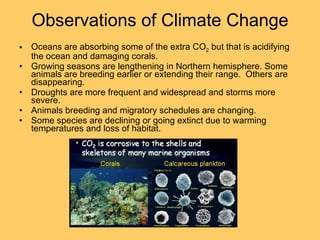 Observations of Climate Change Oceans are absorbing some of the extra CO 2  but that is acidifying the ocean and damaging corals. Growing seasons are lengthening in Northern hemisphere. Some animals are breeding earlier or extending their range.  Others are disappearing. Droughts are more frequent and widespread and storms more severe. Animals breeding and migratory schedules are changing. Some species are declining or going extinct due to warming temperatures and loss of habitat. 