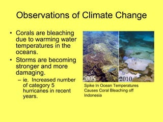Observations of Climate Change Corals are bleaching due to warming water temperatures in the oceans. Storms are becoming stronger and more damaging. ie.  Increased number of category 5 hurricanes in recent years. Spike In Ocean Temperatures Causes Coral Bleaching off Indonesia 