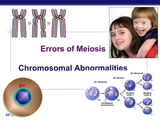 AP Biology 2006-2007
Errors of Meiosis
Chromosomal Abnormalities
 