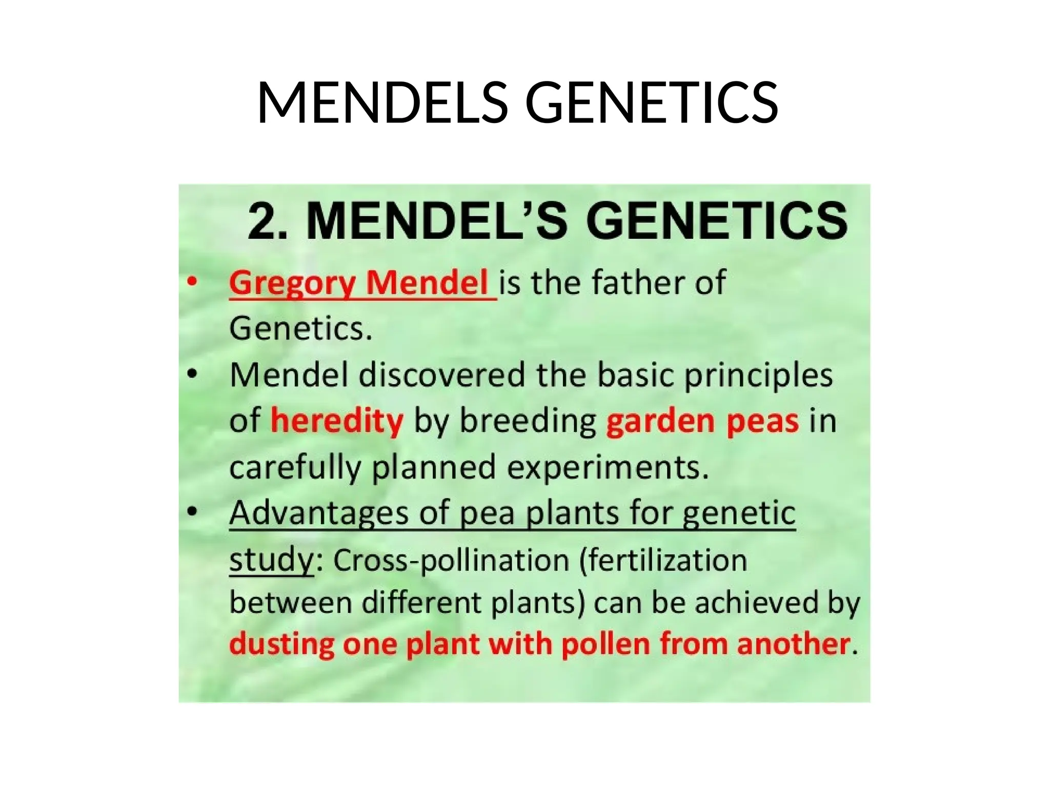 MENDELS GENETICS
 