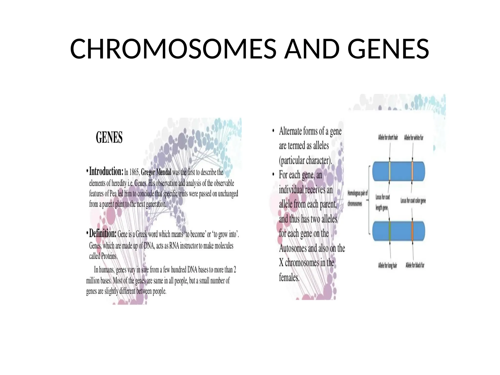 CHROMOSOMES AND GENES
 