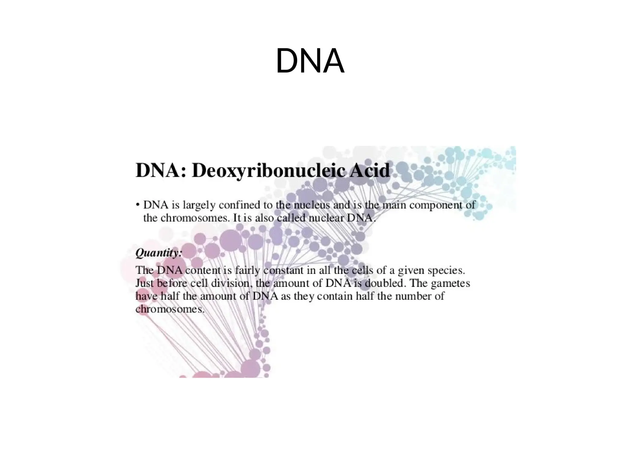 DNA
 