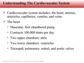 Copyright © 2008 Pearson Education, Inc., publishing as Pearson Benjamin Cummings
Understanding The Cardiovascular System
 Cardiovascular system includes: the heart, arteries,
arterioles, capillaries, venules, and veins
 The heart
• Muscular, four chambered pump
• Contracts 100,000 times per day
• Two upper chambers: atria
• Two lower chambers: ventricles
• Tricuspid, pulmonary, mitral, and aortic valves
 