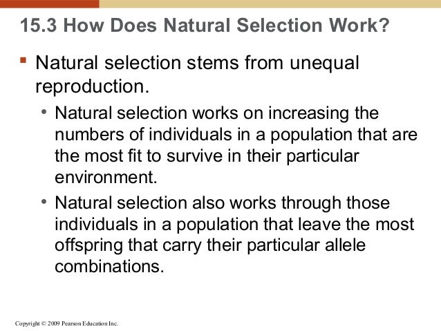 Natural Selection Acts Directly On The Genotype Of An Organism Natural Selection Acts Directly On The Genotype Of An Organism