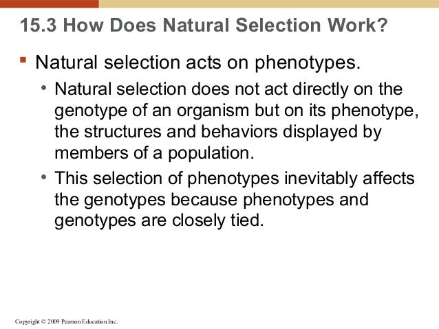 Natural Selection Acts Directly On What Natural Selection Acts Directly On What
