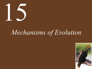 Mechanisms of Evolution
15
 