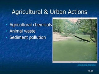 15-25
Agricultural & Urban Actions
• Agricultural chemicals
• Animal waste
• Sediment pollution
© Sylvia Smith-Reynolds
Jump to long description
 