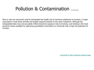 Pollution & Contamination Long Description
Mice or rats are commonly used to extrapolate the health risk of chemical substances to humans. A major
assumption is that these animals and people respond similarly to the same substance. Although the
extrapolated data may not accurately reflect long-term exposure risks to humans, such testing is the most
practical means available for gathering quantitative information on chemicals with a high-risk potential for
humans.
Jump back to slide containing original image
 