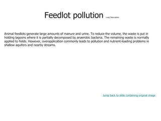 Feedlot pollution Long Description
Animal feedlots generate large amounts of manure and urine. To reduce the volume, the waste is put in
holding lagoons where it is partially decomposed by anaerobic bacteria. The remaining waste is normally
applied to fields. However, overapplication commonly leads to pollution and nutrient-loading problems in
shallow aquifers and nearby streams.
Jump back to slide containing original image
 