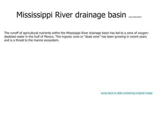 Mississippi River drainage basin Long Description
The runoff of agricultural nutrients within the Mississippi River drainage basin has led to a zone of oxygen-
depleted water in the Gulf of Mexico. This hypoxic zone or “dead zone” has been growing in recent years
and is a threat to the marine ecosystem.
Jump back to slide containing original image
 