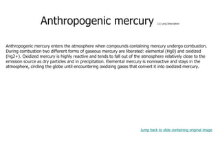 Anthropogenic mercury (1) Long Description
Anthropogenic mercury enters the atmosphere when compounds containing mercury undergo combustion.
During combustion two different forms of gaseous mercury are liberated: elemental (Hg0) and oxidized
(Hg2+). Oxidized mercury is highly reactive and tends to fall out of the atmosphere relatively close to the
emission source as dry particles and in precipitation. Elemental mercury is nonreactive and stays in the
atmosphere, circling the globe until encountering oxidizing gases that convert it into oxidized mercury.
Jump back to slide containing original image
 