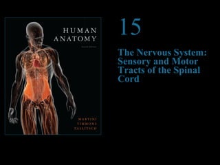 © 2012 Pearson Education, Inc. 
15 
The Nervous System: 
Sensory and Motor 
Tracts of the Spinal 
Cord 
PowerPoint® Lecture Presentations prepared by 
Steven Bassett 
Southeast Community College 
Lincoln, Nebraska 
 