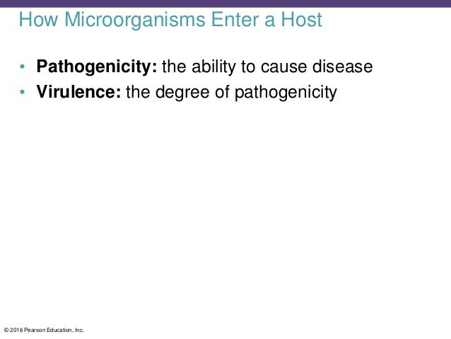 Ch 15 Lecture Presentation