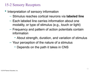 Comprehensive Overview of Sensory Pathways and Somatic Nervous System ...