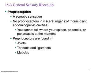Comprehensive Overview of Sensory Pathways and Somatic Nervous System ...