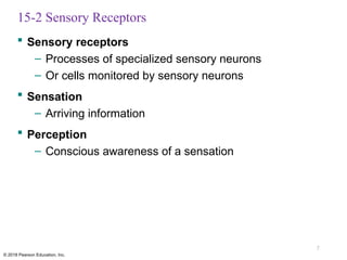 Comprehensive Overview of Sensory Pathways and Somatic Nervous System ...