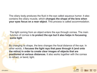 The ciliary body produces the fluid in the eye called aqueous humor. It also
contains the ciliary muscle, which changes the shape of the lens when
your eyes focus on a near object. This process is called accommodation.
The light coming from an object enters the eye through cornea. The main
function of cornea is to protect the eye but it also helps in focussing
some light
By changing its shape, the lens changes the focal distance of the eye. In
other words, it focuses the light rays that pass through it (and onto
the retina) in order to create clear images of objects that are
positioned at various distances. It also works together with the cornea
to refract, or bend, light.
 