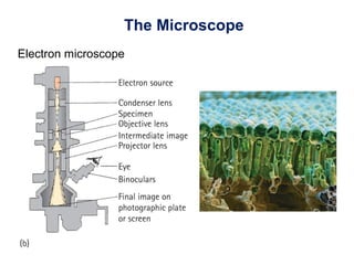 The Microscope
Electron microscope
 