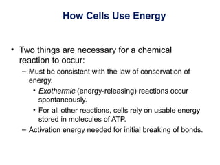 How Cells Use Energy
• Two things are necessary for a chemical
reaction to occur:
– Must be consistent with the law of conservation of
energy.
• Exothermic (energy-releasing) reactions occur
spontaneously.
• For all other reactions, cells rely on usable energy
stored in molecules of ATP.
– Activation energy needed for initial breaking of bonds.
 