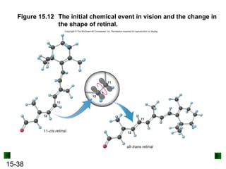 15-38
Figure 15.12 The initial chemical event in vision and the change in
the shape of retinal.
 