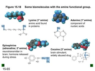15-65
Figure 15.18 Some biomolecules with the amine functional group.
Lysine (1° amine)
amino acid found
in proteins
Adenine (1° amine)
component of
nucleic acids
Epinephrine
(adrenaline; 2° amine)
neurotransmitter in
brain; hormone released
during stress
Cocaine (3° amine)
brain stimulant;
widely abused drug
 