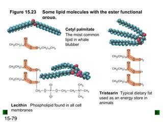 15-79
Figure 15.23 Some lipid molecules with the ester functional
group.
Cetyl palmitate
The most common
lipid in whale
blubber
Lecithin Phospholipid found in all cell
membranes
Tristearin Typical dietary fat
used as an energy store in
animals
 