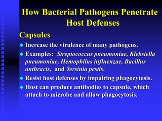 How Bacterial Pathogens Penetrate
Host Defenses
Capsules
 Increase the virulence of many pathogens.
 Examples: Streptococcus pneumoniae, Klebsiella
pneumoniae, Hemophilus influenzae, Bacillus
anthracis, and Yersinia pestis.
 Resist host defenses by impairing phagocytosis.
 Host can produce antibodies to capsule, which
attach to microbe and allow phagocytosis.
 