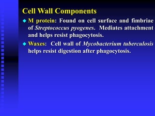 Cell Wall Components
 M protein: Found on cell surface and fimbriae
of Streptococcus pyogenes. Mediates attachment
and helps resist phagocytosis.
 Waxes: Cell wall of Mycobacterium tuberculosis
helps resist digestion after phagocytosis.
 