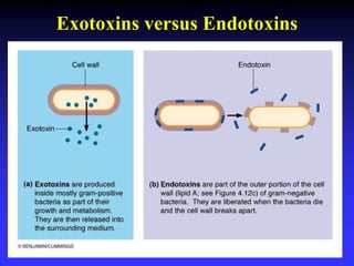 Exotoxins versus Endotoxins
 